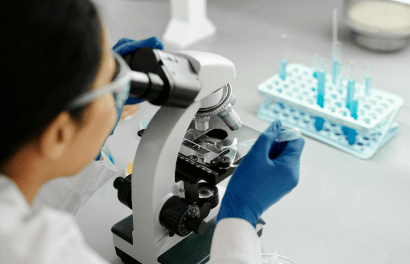 best engineering schools in the US for Biomedical Engineering
